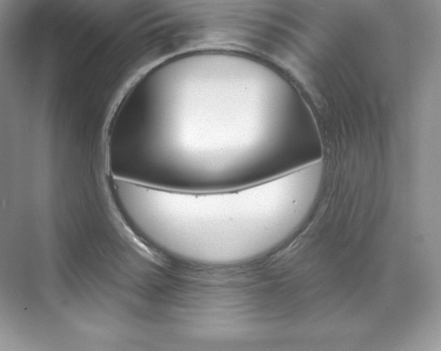 X0000073891371200608110859