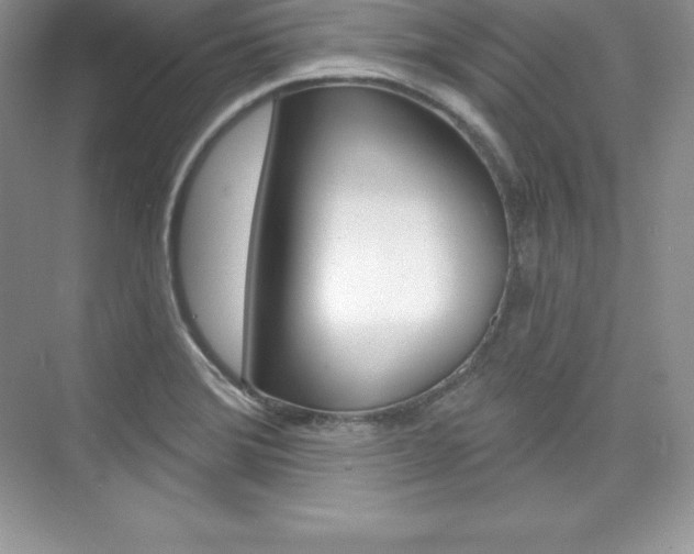 X0000073891372200608110859