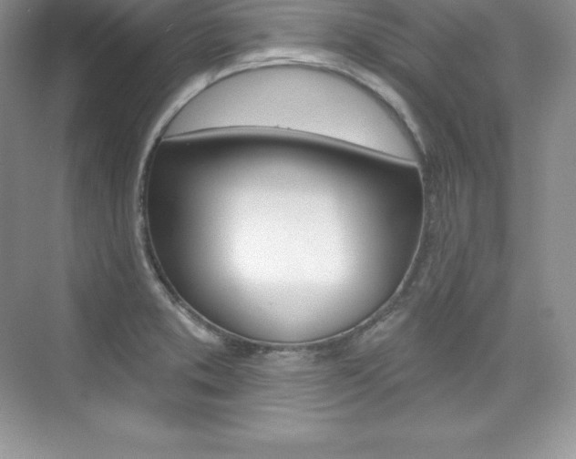 X0000073891373200608110858
