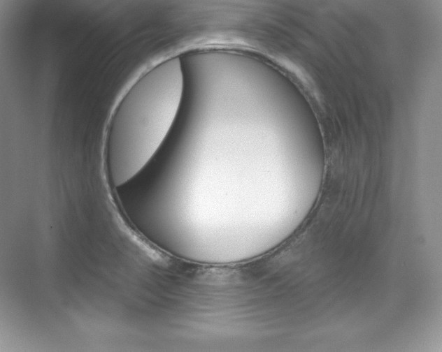 X0000073891374200608110858