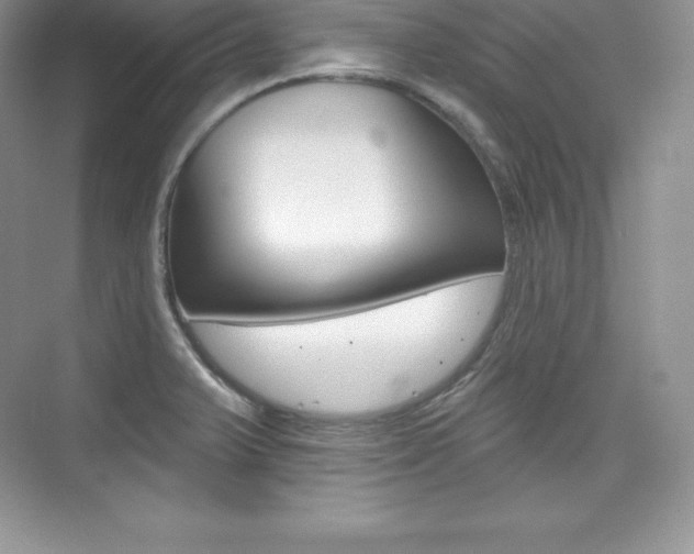 X0000073891375200608110858