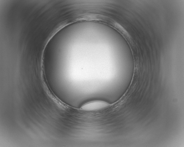X0000073891378200608110858