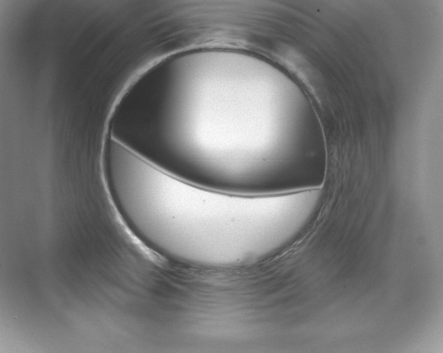 X0000073891379200608110858