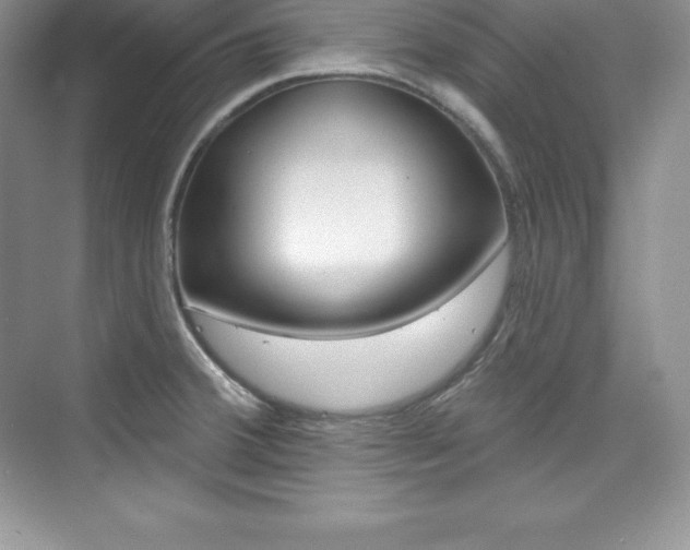 X0000073891380200608110858