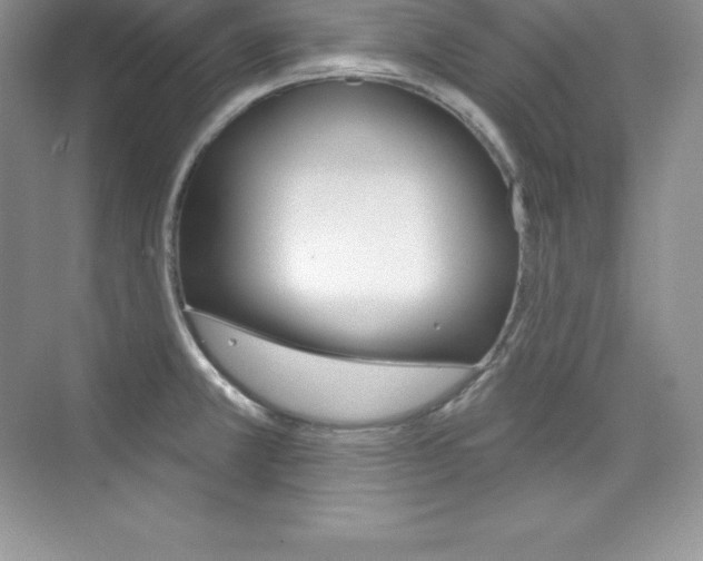 X0000073891381200608110858