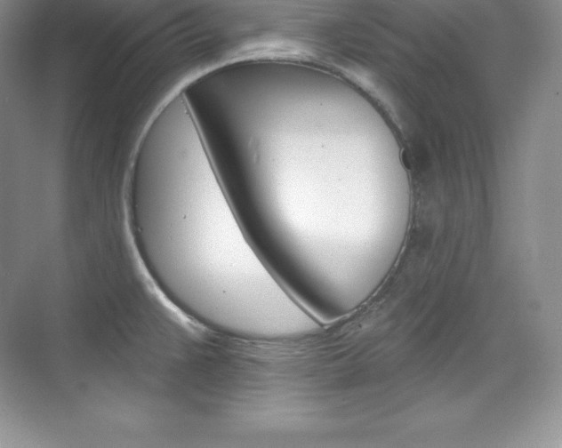 X0000073891383200608110858