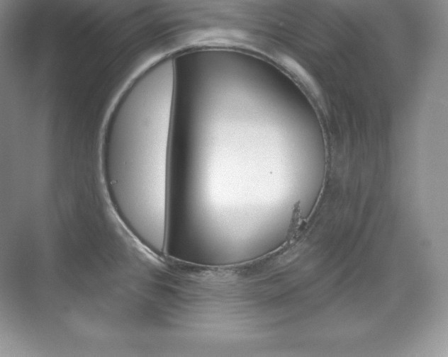 X0000073891384200608110858
