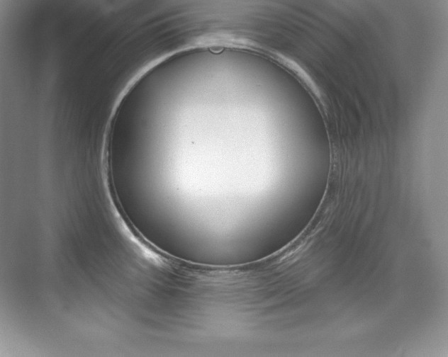 X0000073891387200608110858