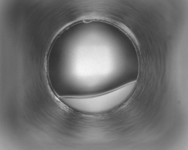 X0000073891388200608110858