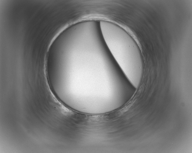X0000073891390200608110858
