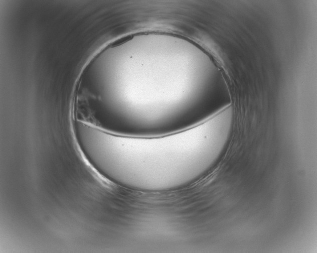 X0000073891391200608110858