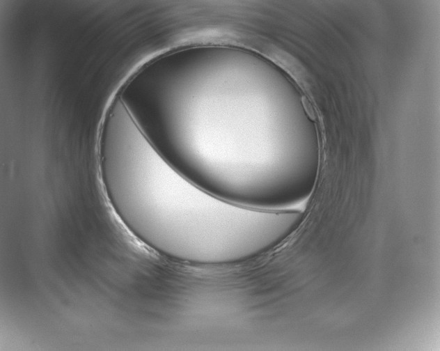X0000073891392200608110858