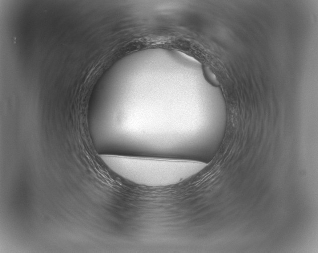X0000073891393200608110857