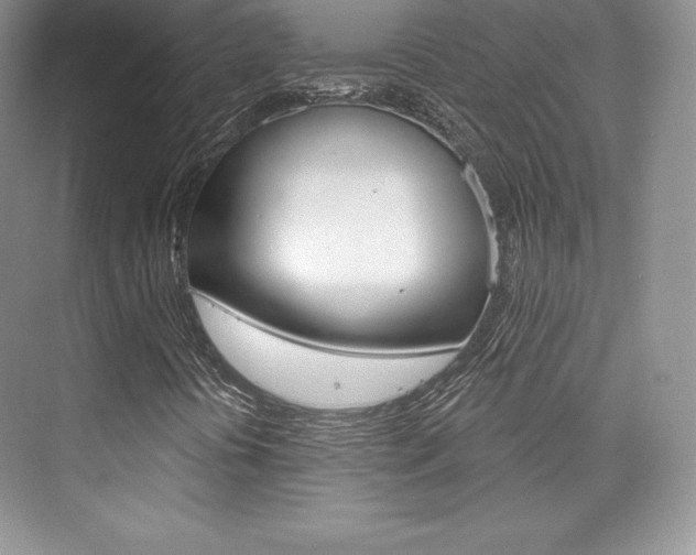 X0000073891394200608110857