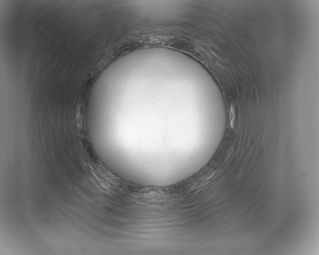 X0000073891395200608110857