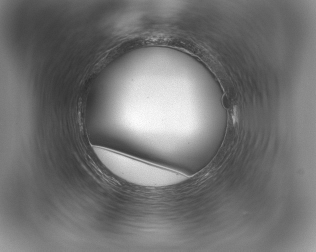 X0000073891396200608110857
