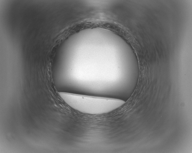 X0000073891397200608110857