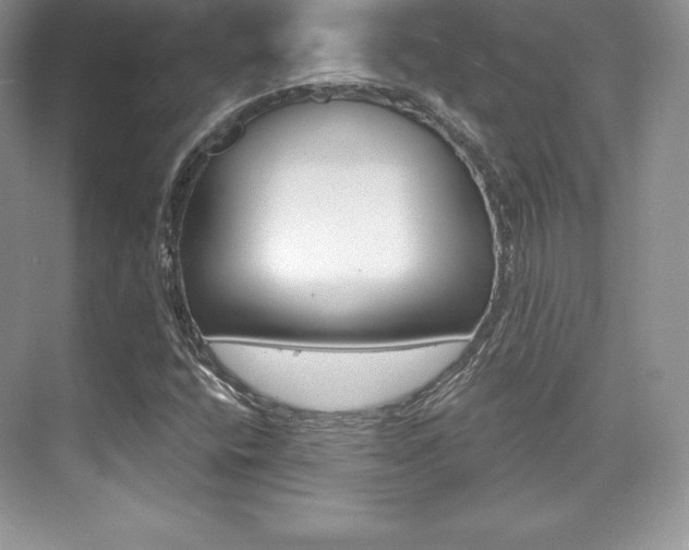 X0000073891400200608110857