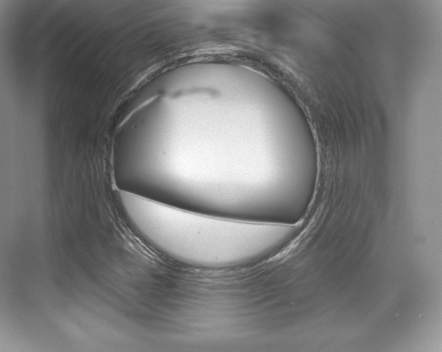 X0000073891401200608110858