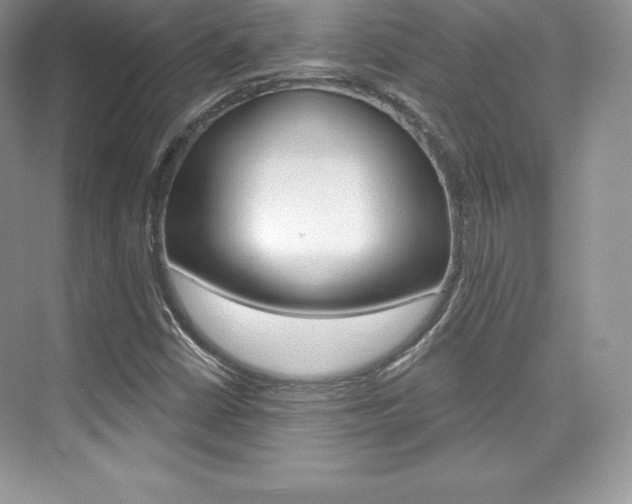X0000073891402200608110858