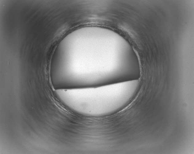 X0000073891403200608110858