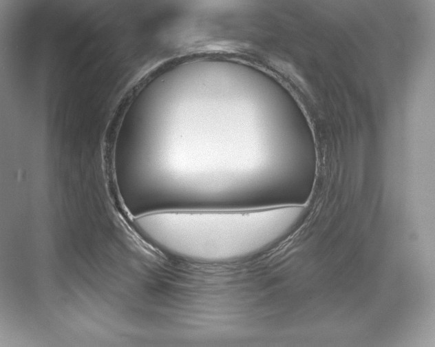 X0000073891404200608110858