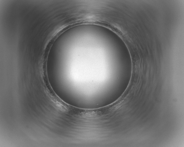 X0000073891410200608110858