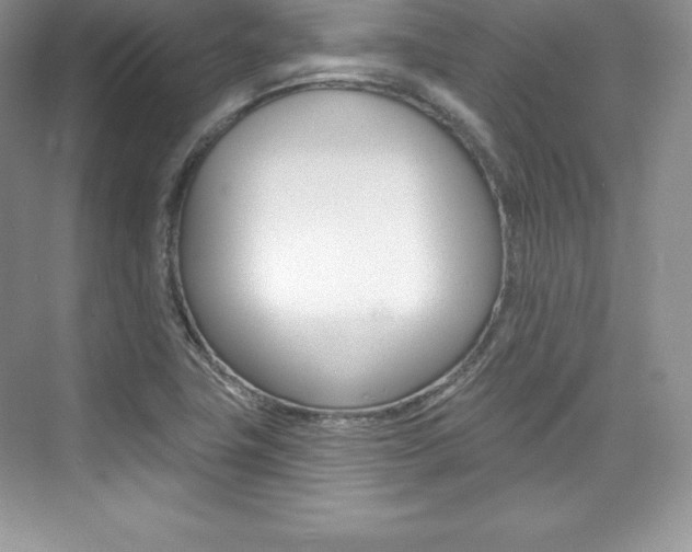 X0000073891411200608110858