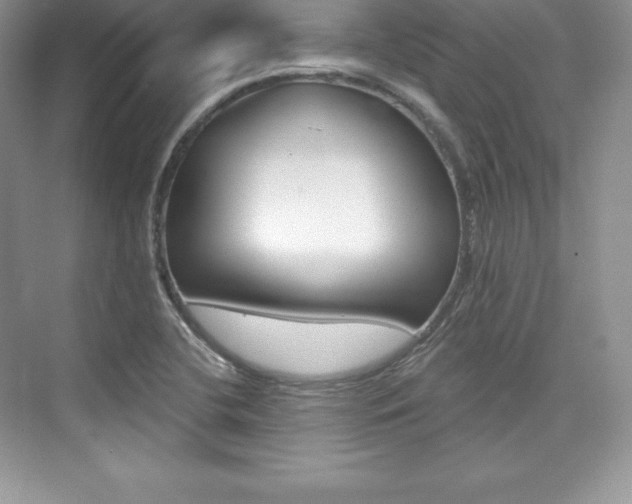 X0000073891412200608110858