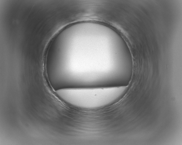 X0000073891415200608110858