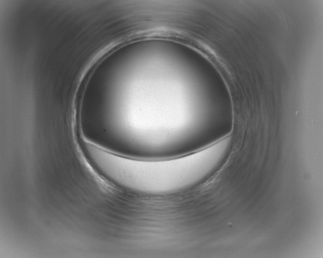 X0000073891418200608110858