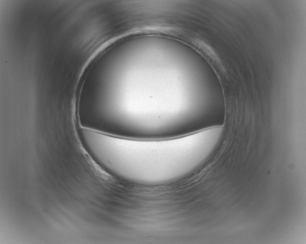 X0000073891420200608110858