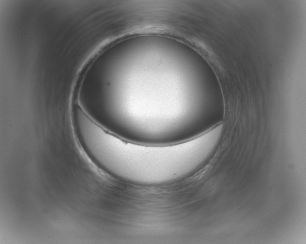 X0000073891422200608110858