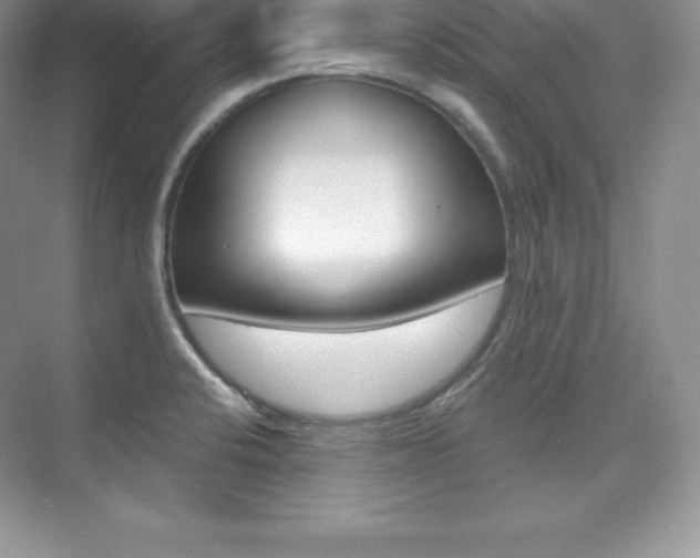 X0000073891424200608110858