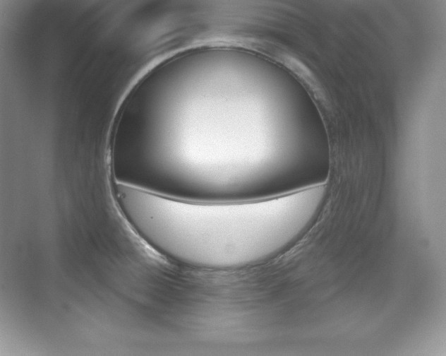 X0000073891428200608110858