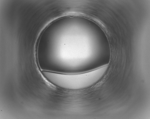 X0000073891430200608110858