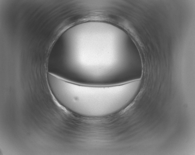X0000073891433200608110858