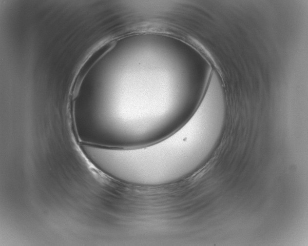 X0000073891434200608110858