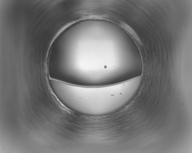 X0000073891436200608110858
