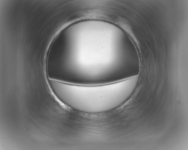 X0000073891437200608110858