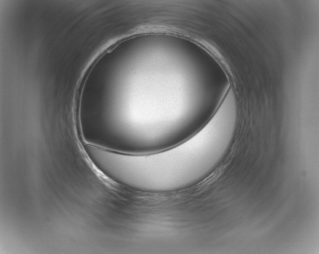 X0000073891438200608110858