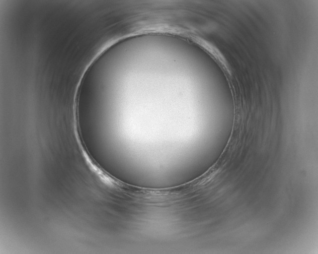 X0000073891439200608110858
