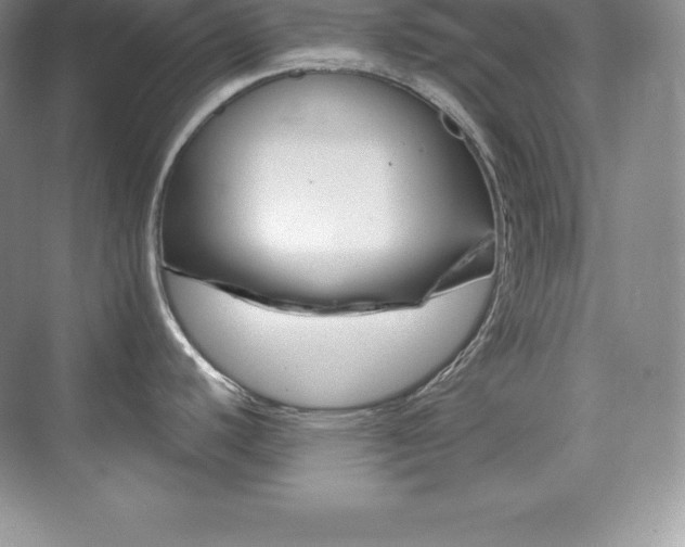 X0000073891440200608110858