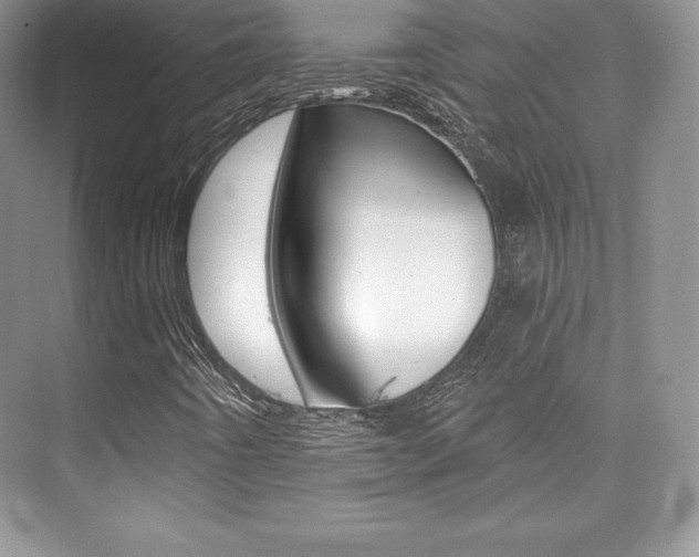 X0000073891442200608110857