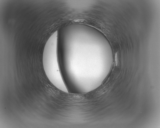 X0000073891443200608110857