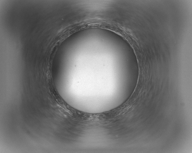 X0000073891445200608110857