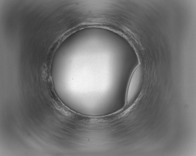 X0000073891449200608110857