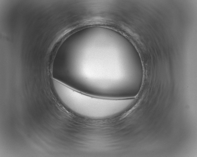 X0000073891453200608110857