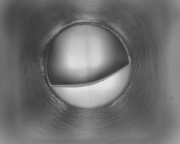X0000073891455200608110857
