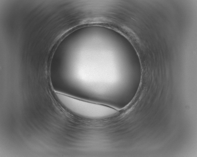 X0000073891457200608110857